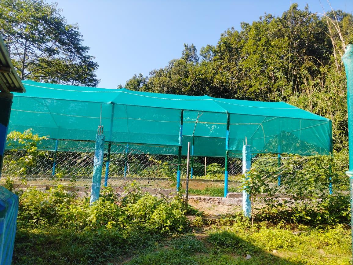 C:\Users\Lavinia Pde\Downloads\WhatsApp Image 2023-03-29 at 17.36.23 (1).jpeg